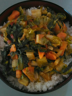 A picture of Vegetable sauce on white rice.