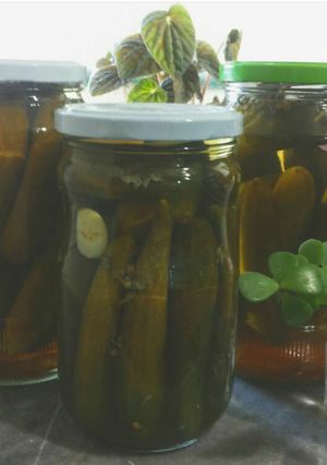 عکسی از دستور خیارشور
