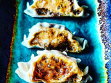 Japanese Gyoza Dumplings