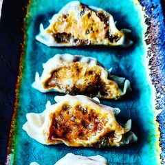 A picture of Japanese Gyoza Dumplings.