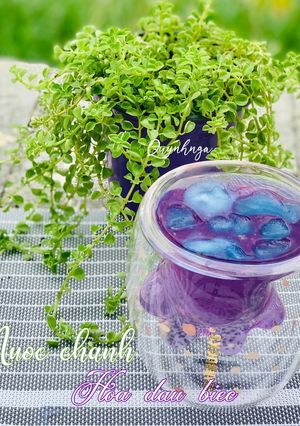 Hình của món Nước chanh hoa đậu biếc.