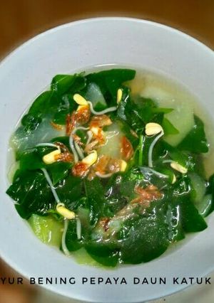 Foto resep Sayur bening pepaya daun katuk dan tauge kedelai