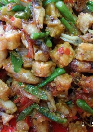 Foto resep Cumi Tumis Pedas"GAMBRENG"