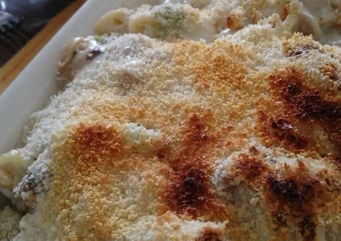 Family's Favorite Chicken Gratin Recipe – Recipe Bite