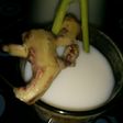 Susu Rempah