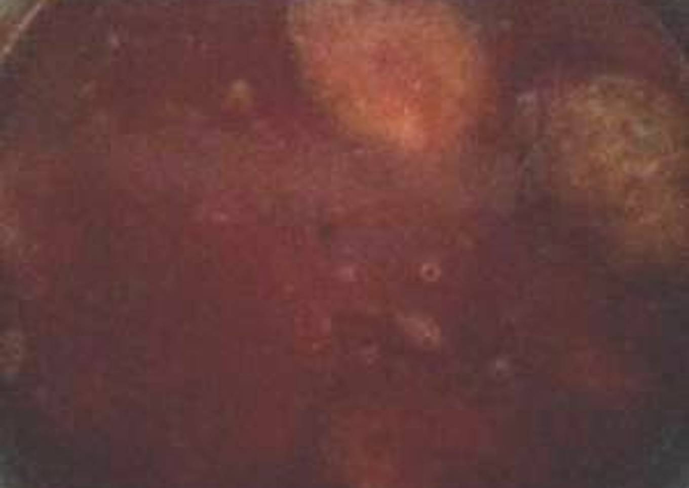 Tortitas de atún en salsa de chipotle o chiltepin