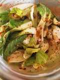 Marinierter Pak Choi nach koreanischer - Kimchi Art