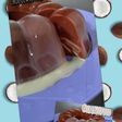 Pudding CCC (Collided Chocolate Coconut) 🤭dengan gula cair singkong