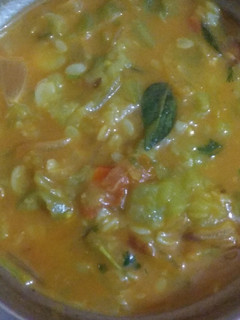 பீர்க்கங்காய் கடையல் (peerkankaai kadaiyal recipe in tamil) செய்முறை முக்கிய புகைப்படம்