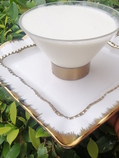 Home made yoghurt ainihin hoton girkin