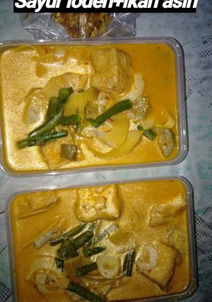 Foto resep Sayur lodeh