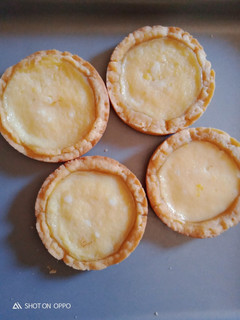 Foto resep Pie susu mini