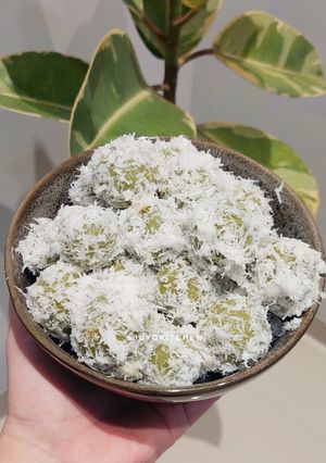Foto resep 💚 KLEPON 💚