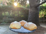 Brioche Pandoro