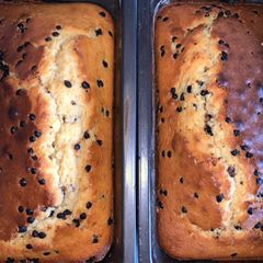 A picture of Chocolate chip cake.