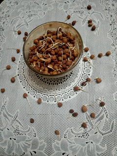 स्प्राउट्स चने (sprouts chane recipe in Hindi) रेसिपी मुख्य फोटो