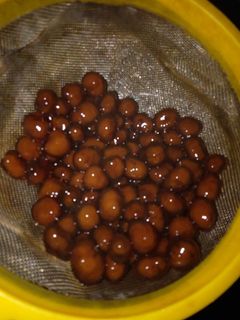 Foto resep Boba/bubble pearl (palm sugar)