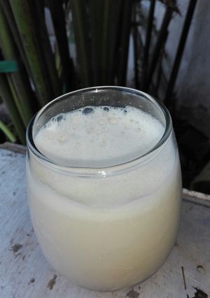 Una foto de Jugo Ades (casero)