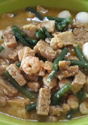 Foto resep Tahu Tempe Udang Telur Puyuh Kuah Santan