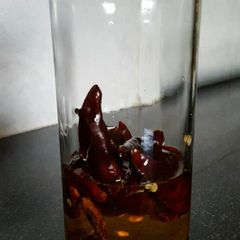 A picture of Chili oil.