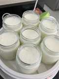 Yogurt