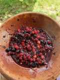 Rujak Buah Huni