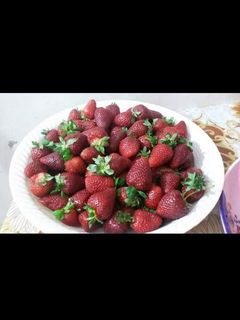 صورة لوصفة صوص الفراوله