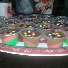 A picture of Agar pelangi.