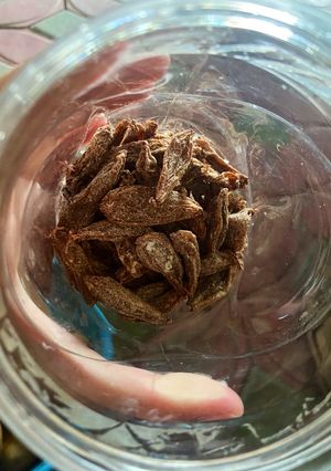 Foto resep Asam sunti khas aceh