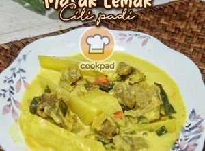Gambar Daging Masak Lemak cili padi
