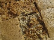 Una foto de quinoa con huevo