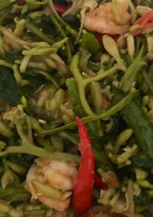 Foto resep Tauco kangkung buaya (bunga pepaya)