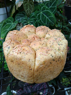 Foto resep Garlic Bread Sourdough Discard