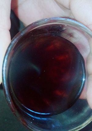 صورة لوصفة شاي بي نعناع منعش☕🍪