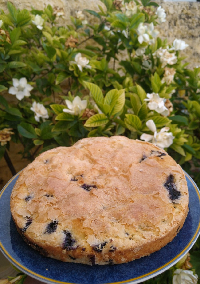 Una foto de Budín de arándanos✨💜