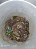 Paru sapi goreng enak dan simple