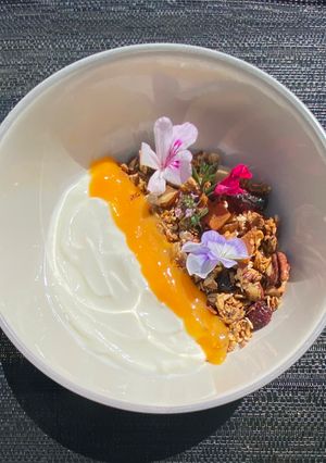 A picture of Field of Vision - Granola, citrus cheese and skyr.