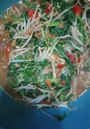 Foto resep Tumis bayem dan tauge