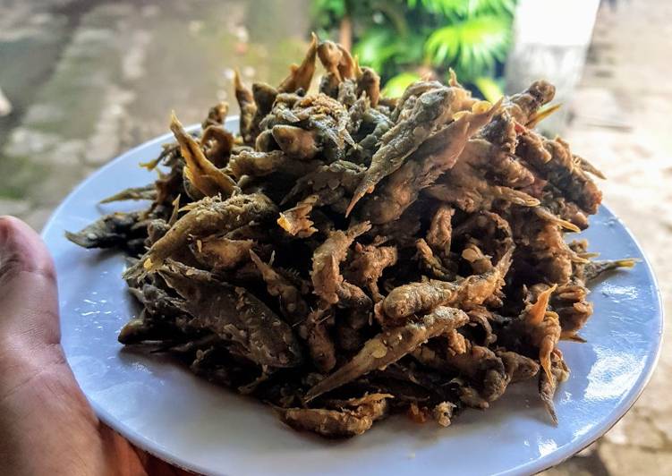 Resep Wader Crispy Crunchy Anti Gagal