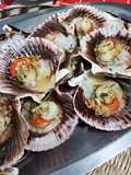 Baked Scallops with Garlic and Parsley Oil