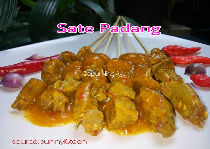 95. Sate Padang