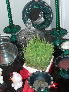 عکسی از دستور اینم سفره هفت سین ما