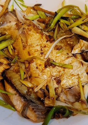 紅燒虱目魚肚 的食譜成品照片