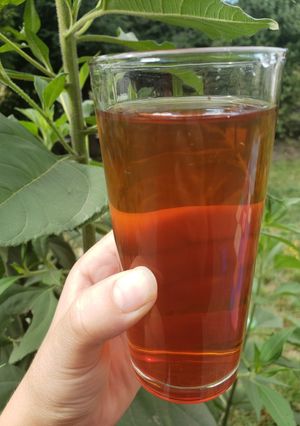 Una foto de Té helado 🥃 con cedrón🍃, canela y miel 🍯