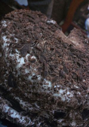 A picture of Chocolate cake.