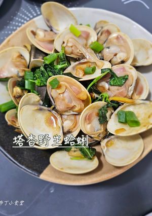 塔香野生蛤蜊 的食譜成品照片