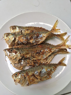 Foto resep Ikan Kembung Goreng