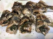 A picture of sardines fish