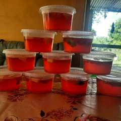 Una foto de Gelatina con frutas