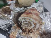 Una foto de arvejas con carne molida